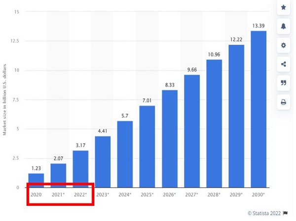 RPA 시장의 성장률은 소프트웨어 사업 부문에서 가장 높다. 매년 30% 이상 성장하고 있다.(출처: 스테이티스타, 2022)