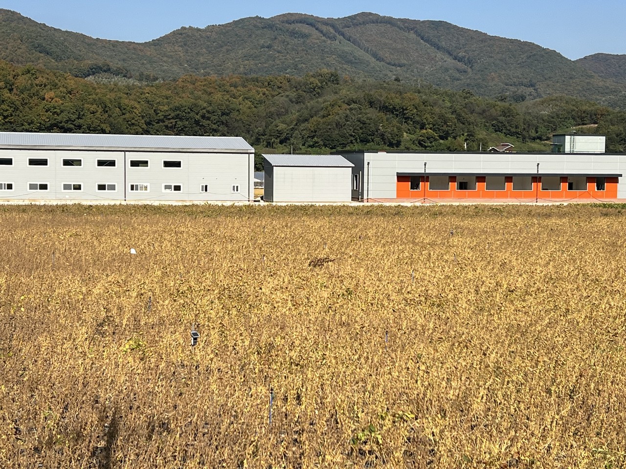 콩밭과 함께 설립된 ‘농기계 창고(왼쪽)’와 ‘데이터 센터’