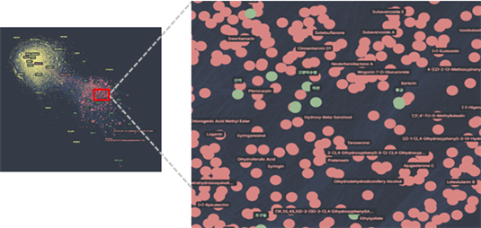 그림 2. 한약 통합 네트워크