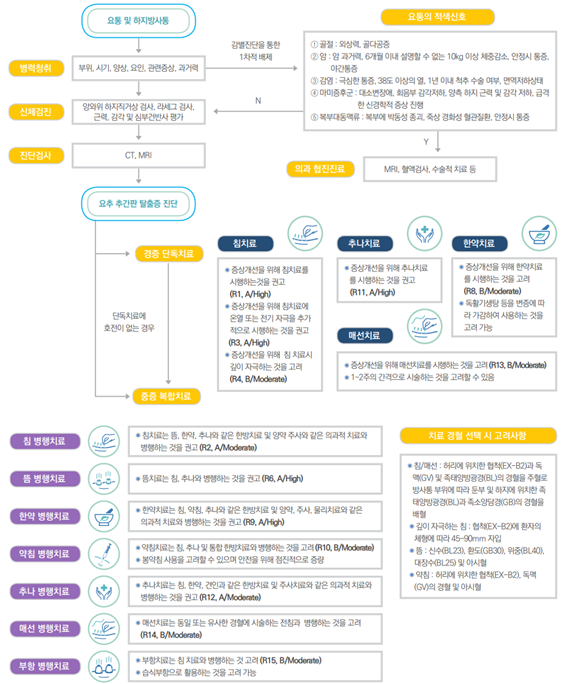 그림 1. 표준임상진료 알고리즘 예시