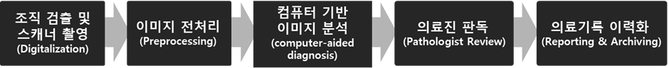 그림 1. 디지털 병리 진단 개략도