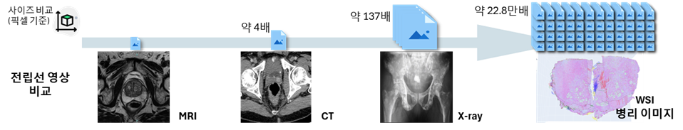 그림 3. 의학 영상 모달리티 별 파일 크기 비교
